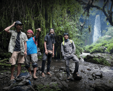 Into The Jungle